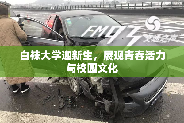 白袜大学迎新生，展现青春活力与校园文化