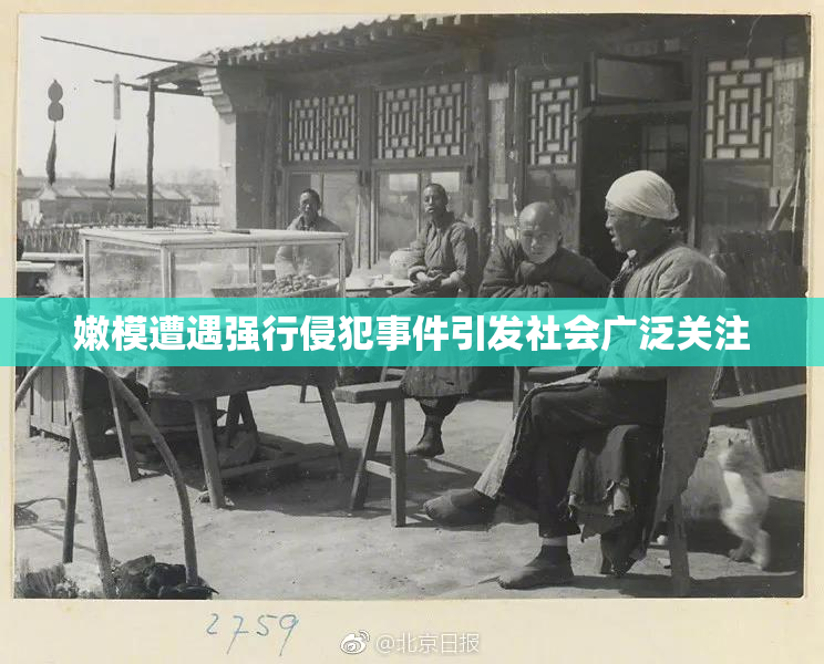 嫩模遭遇强行侵犯事件引发社会广泛关注