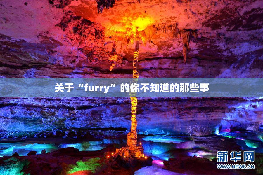 关于“furry”的你不知道的那些事