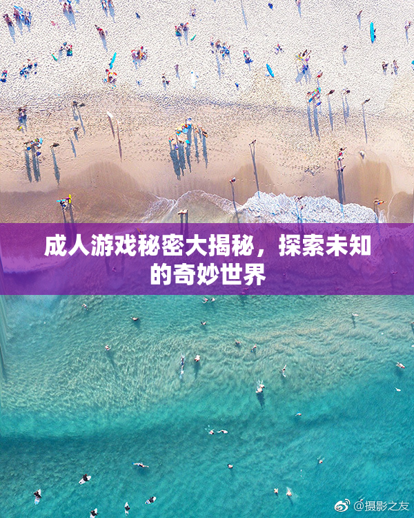 成人游戏秘密大揭秘，探索未知的奇妙世界