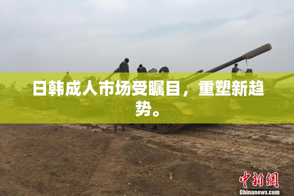 日韩成人市场受瞩目，重塑新趋势。