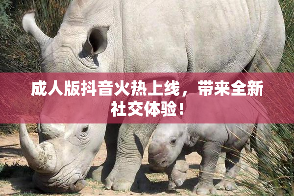 成人版抖音火热上线，带来全新社交体验！