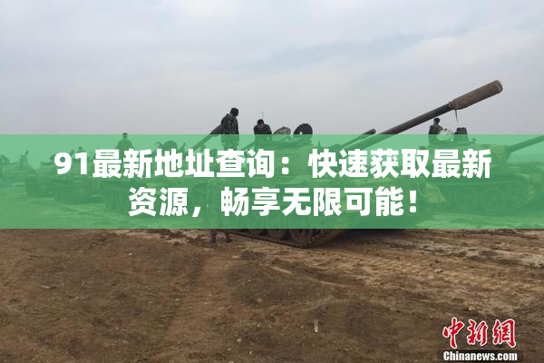 91最新地址查询：快速获取最新资源，畅享无限可能！