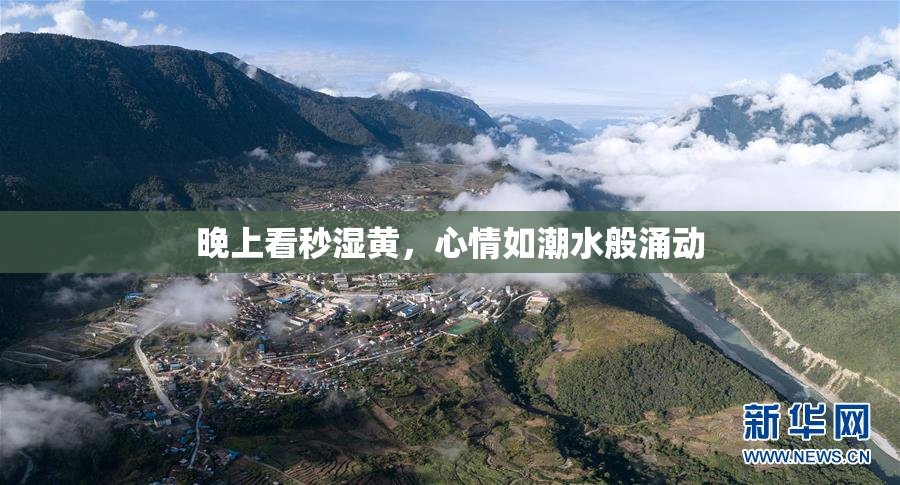 晚上看秒湿黄，心情如潮水般涌动