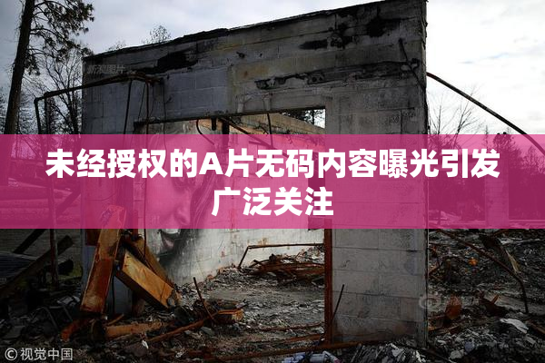 未经授权的A片无码内容曝光引发广泛关注