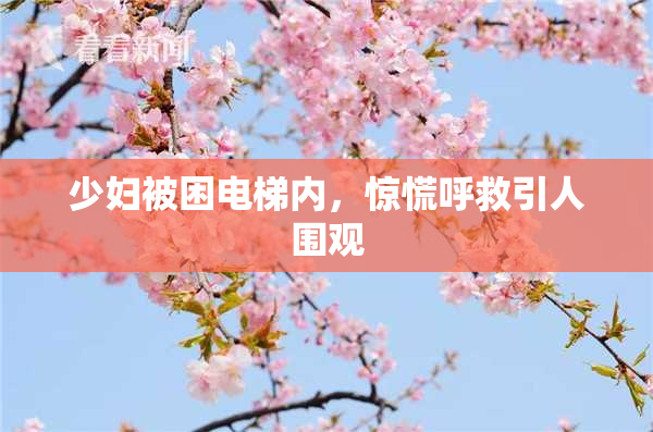 少妇被困电梯内，惊慌呼救引人围观