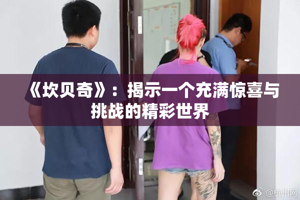 《坎贝奇》：揭示一个充满惊喜与挑战的精彩世界