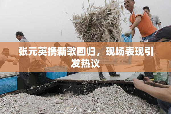 张元英携新歌回归，现场表现引发热议