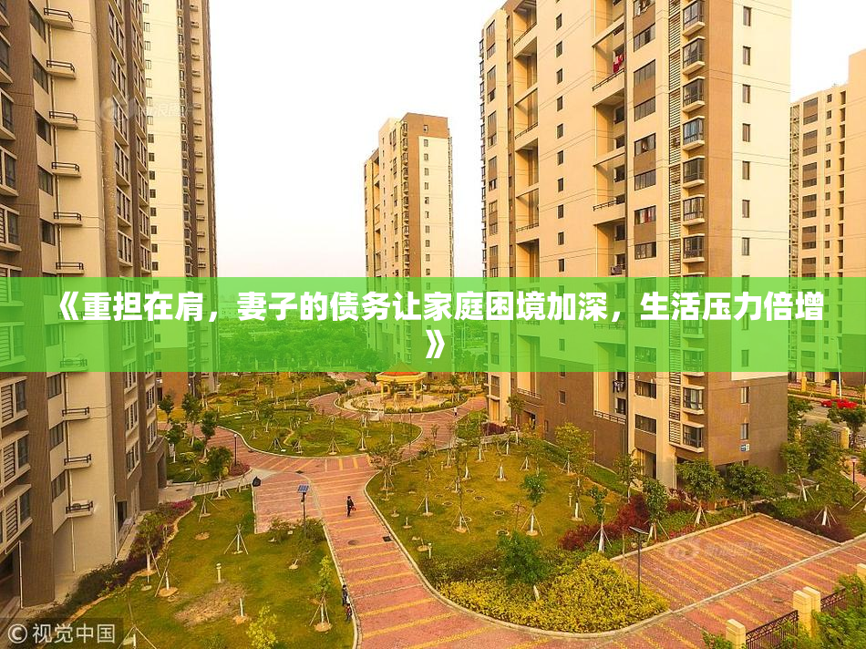 《重担在肩，妻子的债务让家庭困境加深，生活压力倍增》
