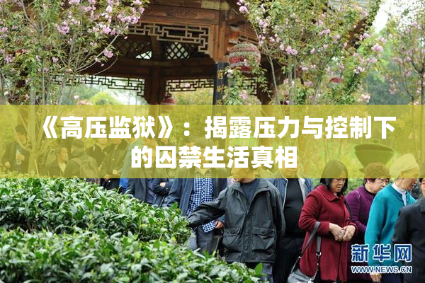 《高压监狱》：揭露压力与控制下的囚禁生活真相