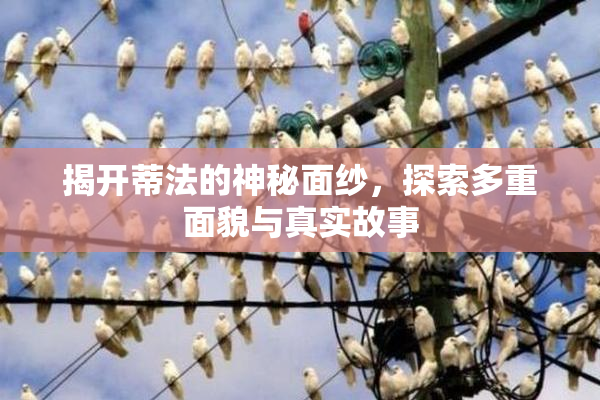 揭开蒂法的神秘面纱，探索多重面貌与真实故事