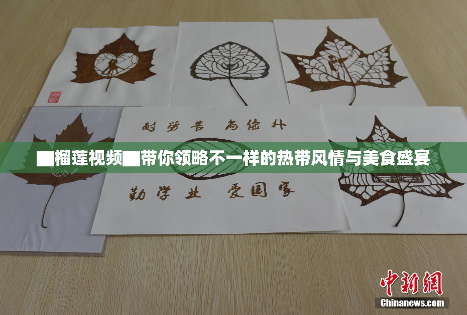 ▇榴莲视频▇带你领略不一样的热带风情与美食盛宴