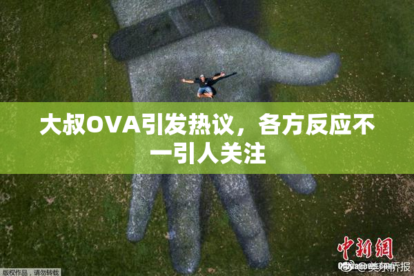 大叔OVA引发热议，各方反应不一引人关注