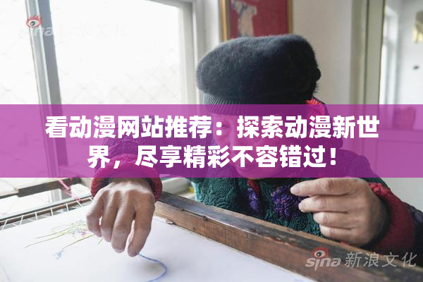 看动漫网站推荐：探索动漫新世界，尽享精彩不容错过！