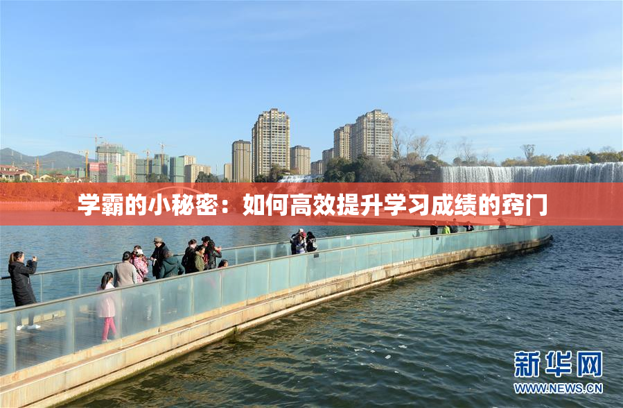 学霸的小秘密：如何高效提升学习成绩的窍门