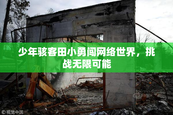 少年骇客田小勇闯网络世界，挑战无限可能