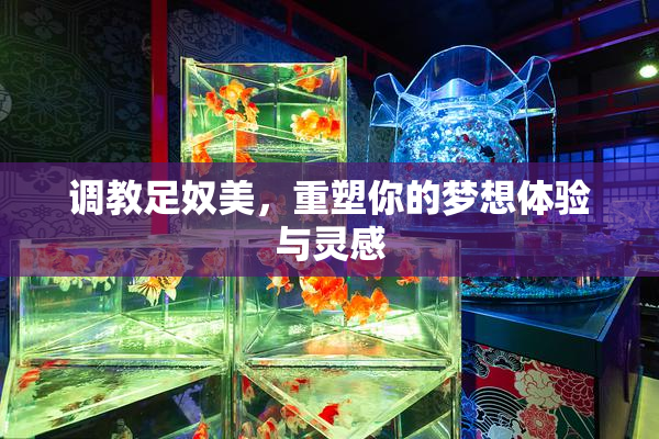 调教足奴美，重塑你的梦想体验与灵感