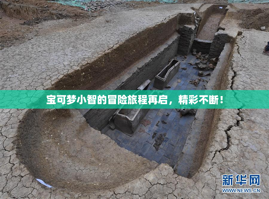宝可梦小智的冒险旅程再启，精彩不断！