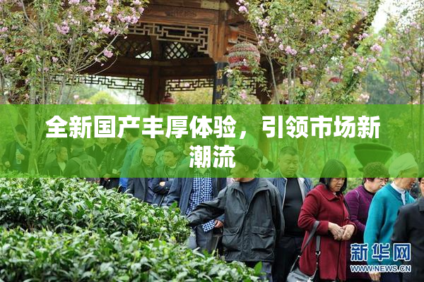 全新国产丰厚体验，引领市场新潮流