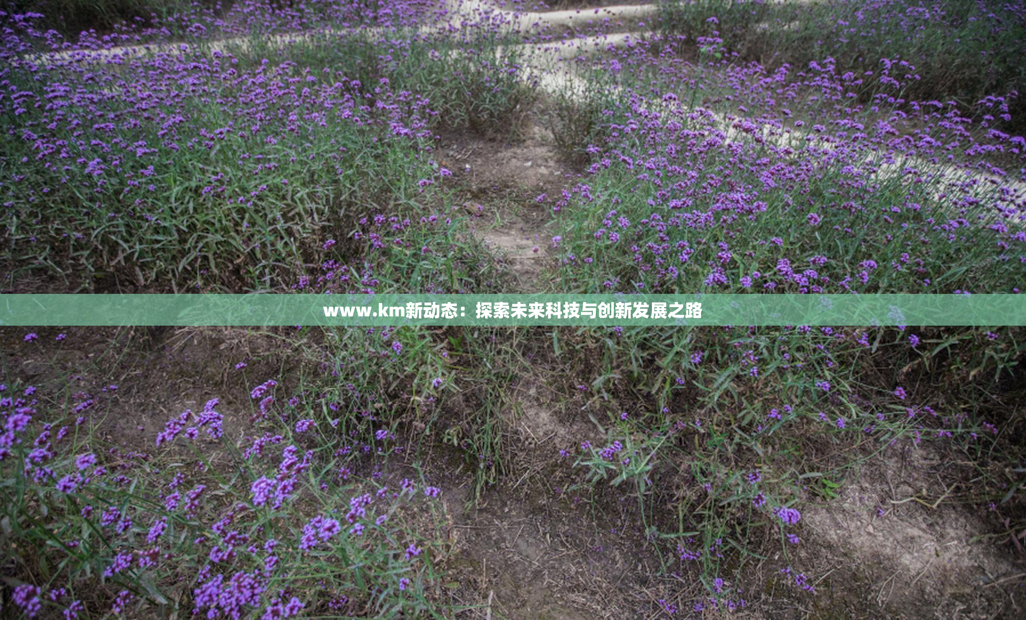 www.km新动态：探索未来科技与创新发展之路