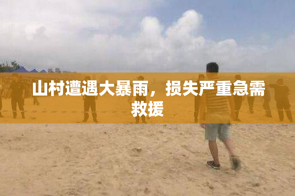 山村遭遇大暴雨，损失严重急需救援