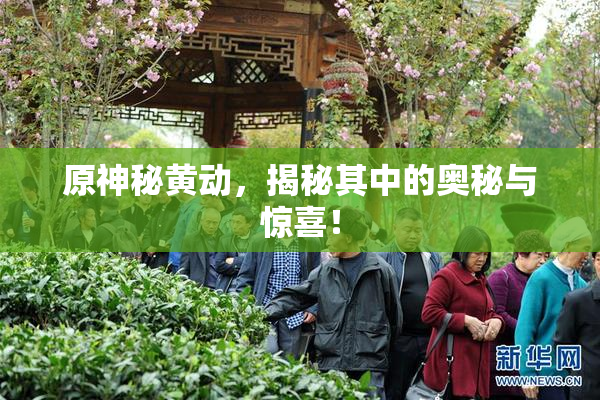 原神秘黄动，揭秘其中的奥秘与惊喜！