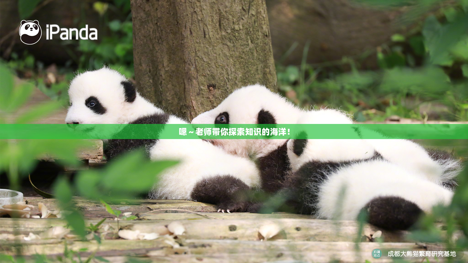 嗯～老师带你探索知识的海洋！