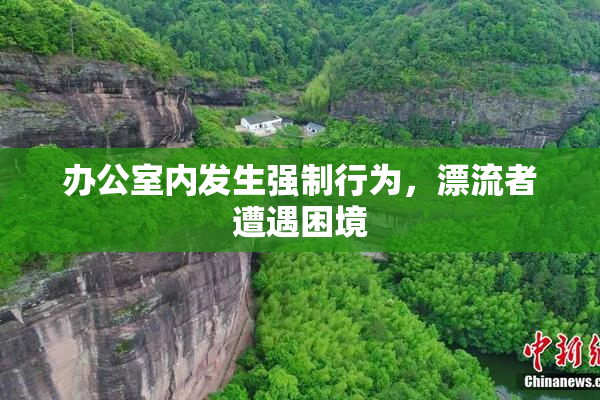 办公室内发生强制行为，漂流者遭遇困境