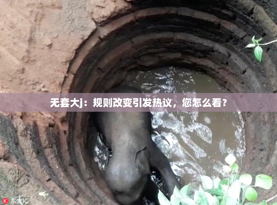 无套大j：规则改变引发热议，您怎么看？