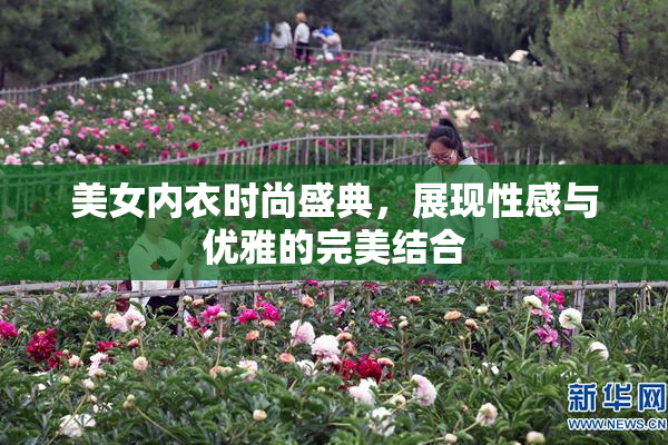 美女内衣时尚盛典，展现性感与优雅的完美结合