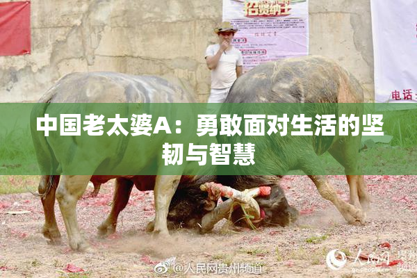 中国老太婆A：勇敢面对生活的坚韧与智慧