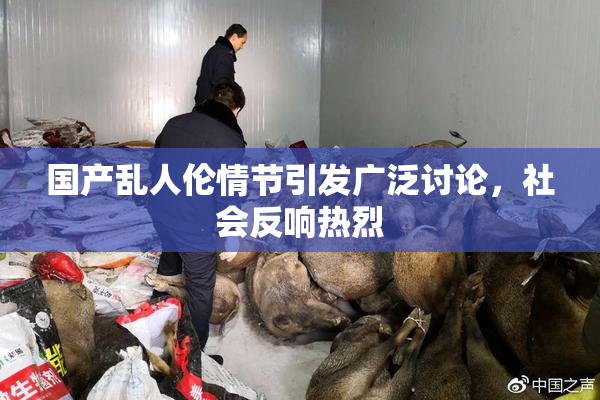 国产乱人伦情节引发广泛讨论，社会反响热烈