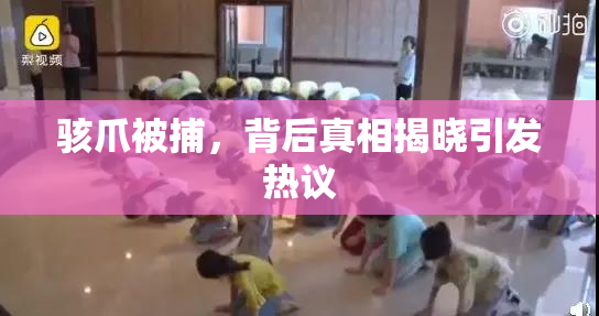 骇爪被捕，背后真相揭晓引发热议