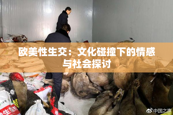 欧美性生交：文化碰撞下的情感与社会探讨