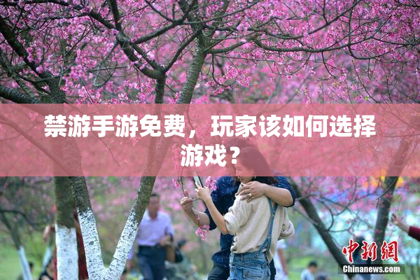 禁游手游免费，玩家该如何选择游戏？