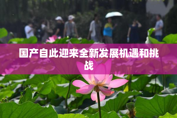 国产自此迎来全新发展机遇和挑战