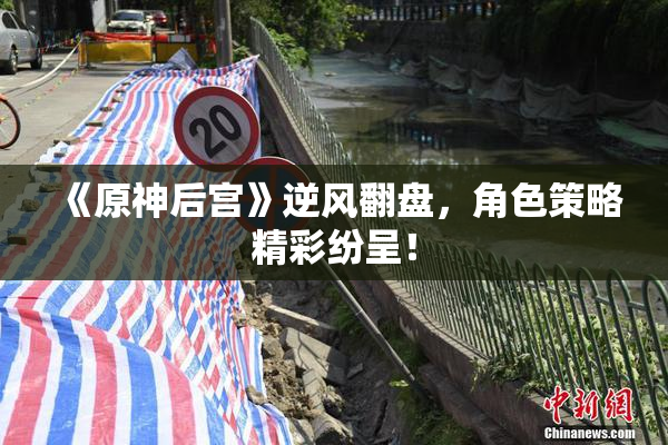 《原神后宫》逆风翻盘，角色策略精彩纷呈！