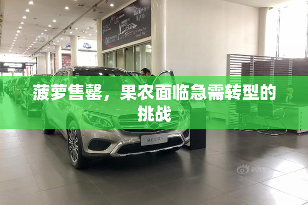 菠萝售罄，果农面临急需转型的挑战