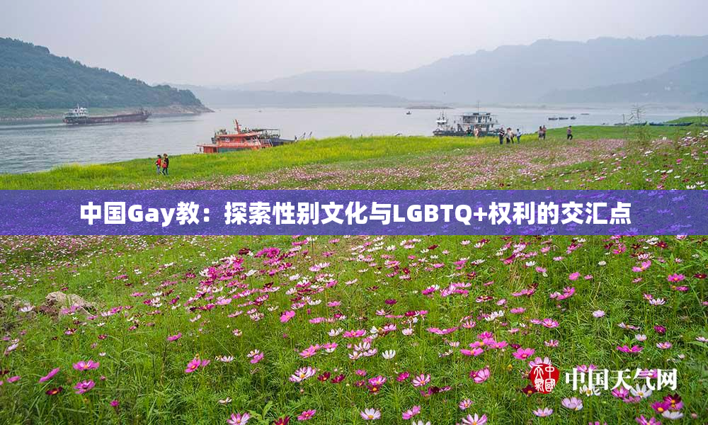 中国Gay教：探索性别文化与LGBTQ+权利的交汇点