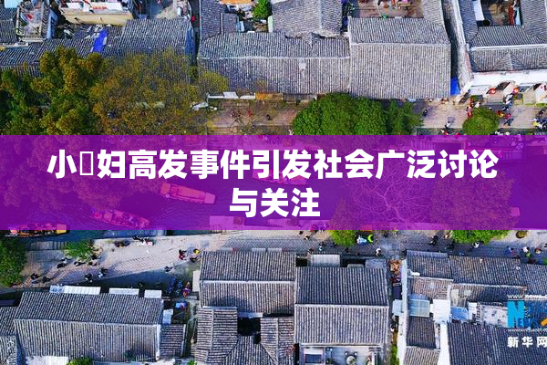 小婬妇高发事件引发社会广泛讨论与关注