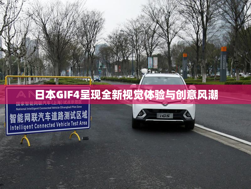日本GIF4呈现全新视觉体验与创意风潮