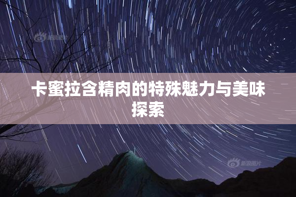 卡蜜拉含精肉的特殊魅力与美味探索