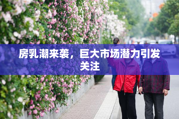 房乳潮来袭，巨大市场潜力引发关注
