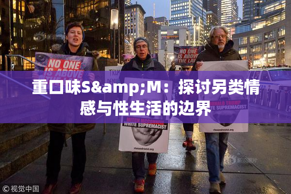 重口味S&M：探讨另类情感与性生活的边界