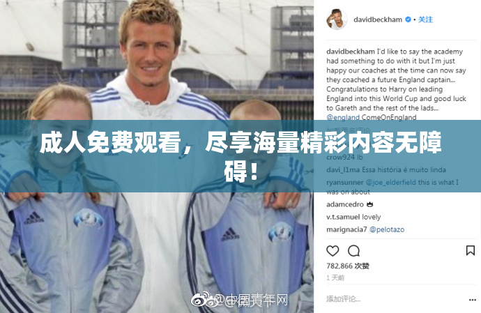 成人免费观看，尽享海量精彩内容无障碍！