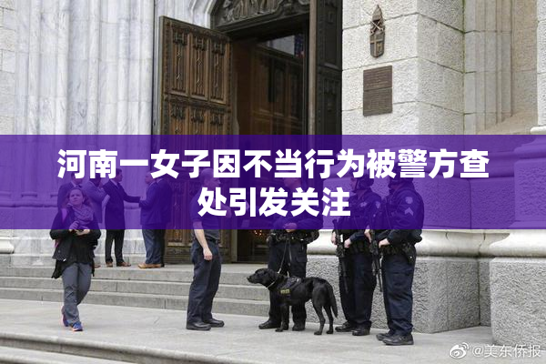 河南一女子因不当行为被警方查处引发关注