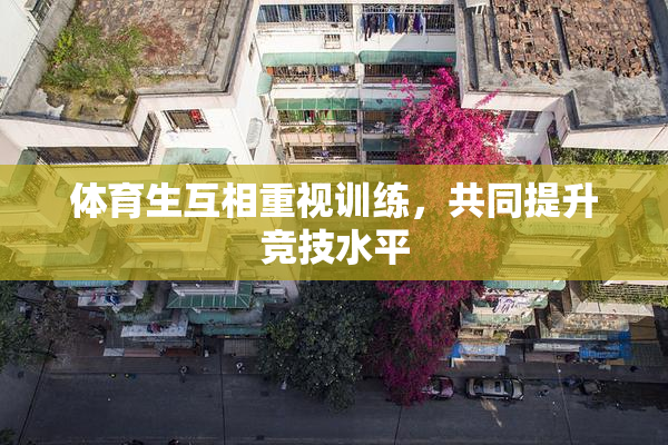 体育生互相重视训练，共同提升竞技水平