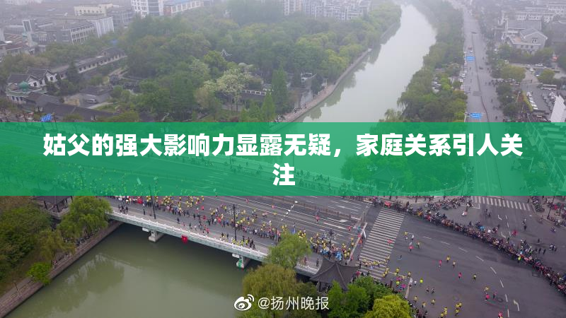 姑父的强大影响力显露无疑，家庭关系引人关注