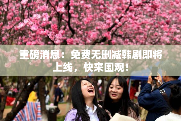 重磅消息：免费无删减韩剧即将上线，快来围观！