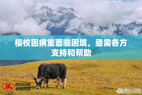 樱校因病重面临困境，亟需各方支持和帮助